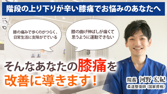 膝痛 新潟の整体 医師も推薦 藤見名倉堂鍼灸整骨院