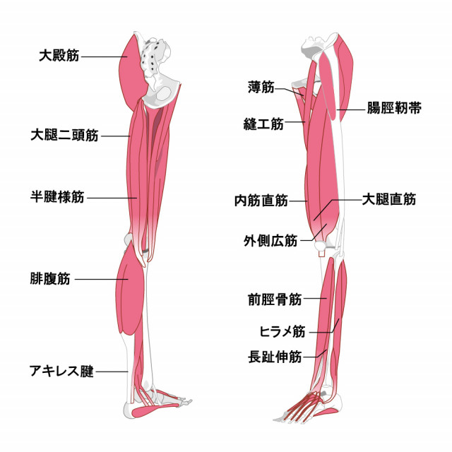 踵の痛みの対処法は?